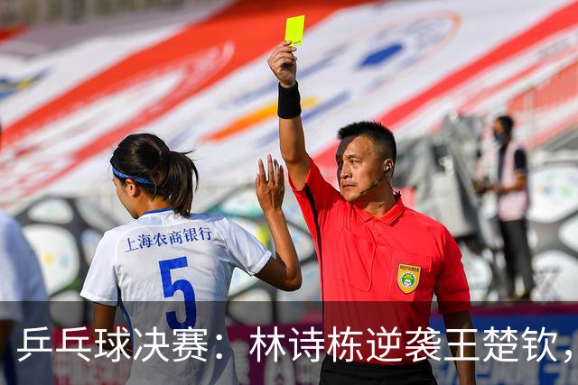 乒乓球决赛：林诗栋逆袭王楚钦，观众反应引发热议